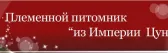 Из Империи Цунь