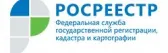 Росреестр