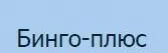 Бинго Плюс