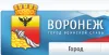 Отсутствие детской площадки во дворе ул. Новгородская  дом 131