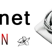 Ml net