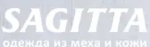 Sagitta