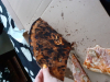 Сгоревшая пицца
