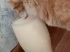 Продают гнилое