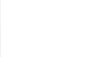 googleload1.com