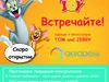 Безобразие! Что за sms911 такие выискались?!