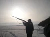 Развод!