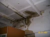 Услуги коннект - провайдеров
