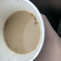 Торфонавозный компост. Таракан в кружке с кофе. Черви в кофе. Таракан в кружке с кофе. Черви в кофе.