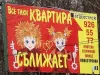 Все таки квартира сближает