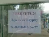 Требуется Парень На Шаурму