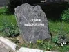 Желаем Выздоровления